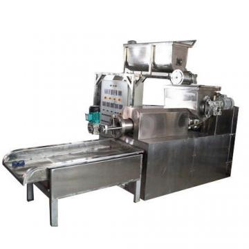 Continuous Automatic Fish Feed Manufacturing Machine